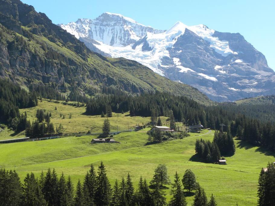 Apartment With Great View At Residence Brunner Wengen Exteriör bild