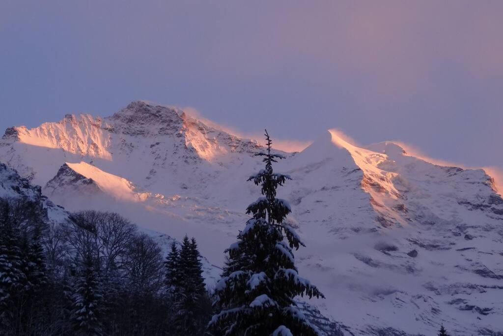 Apartment With Great View At Residence Brunner Wengen Exteriör bild