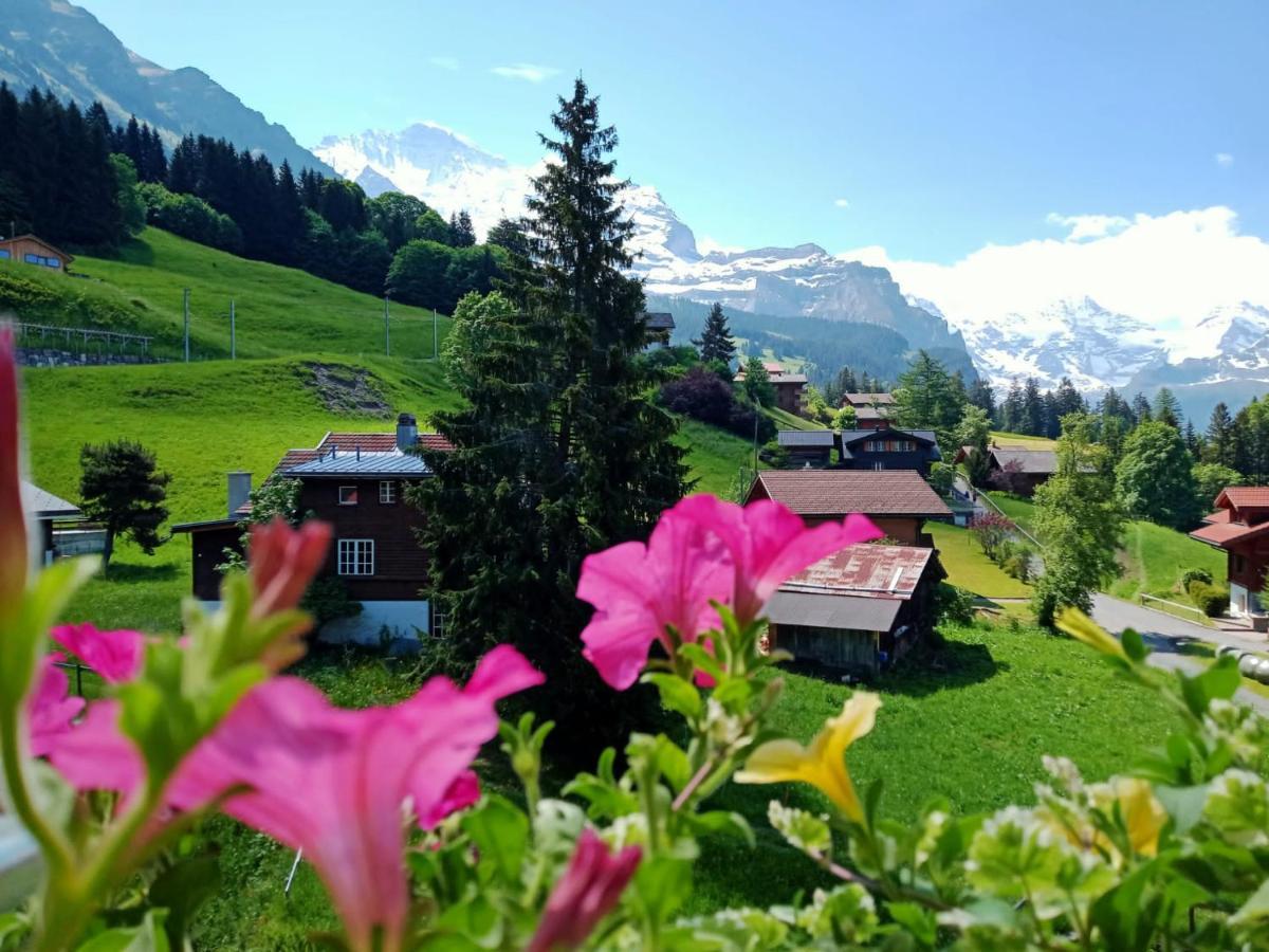 Apartment With Great View At Residence Brunner Wengen Exteriör bild
