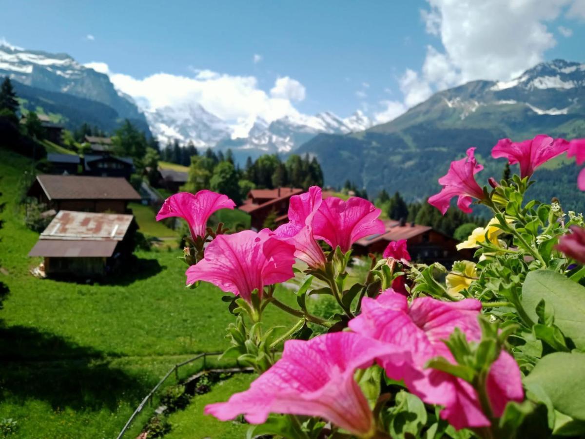 Apartment With Great View At Residence Brunner Wengen Exteriör bild